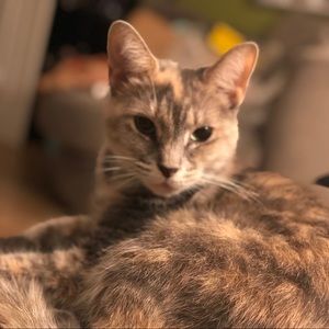 Meet your Posher, Delilah